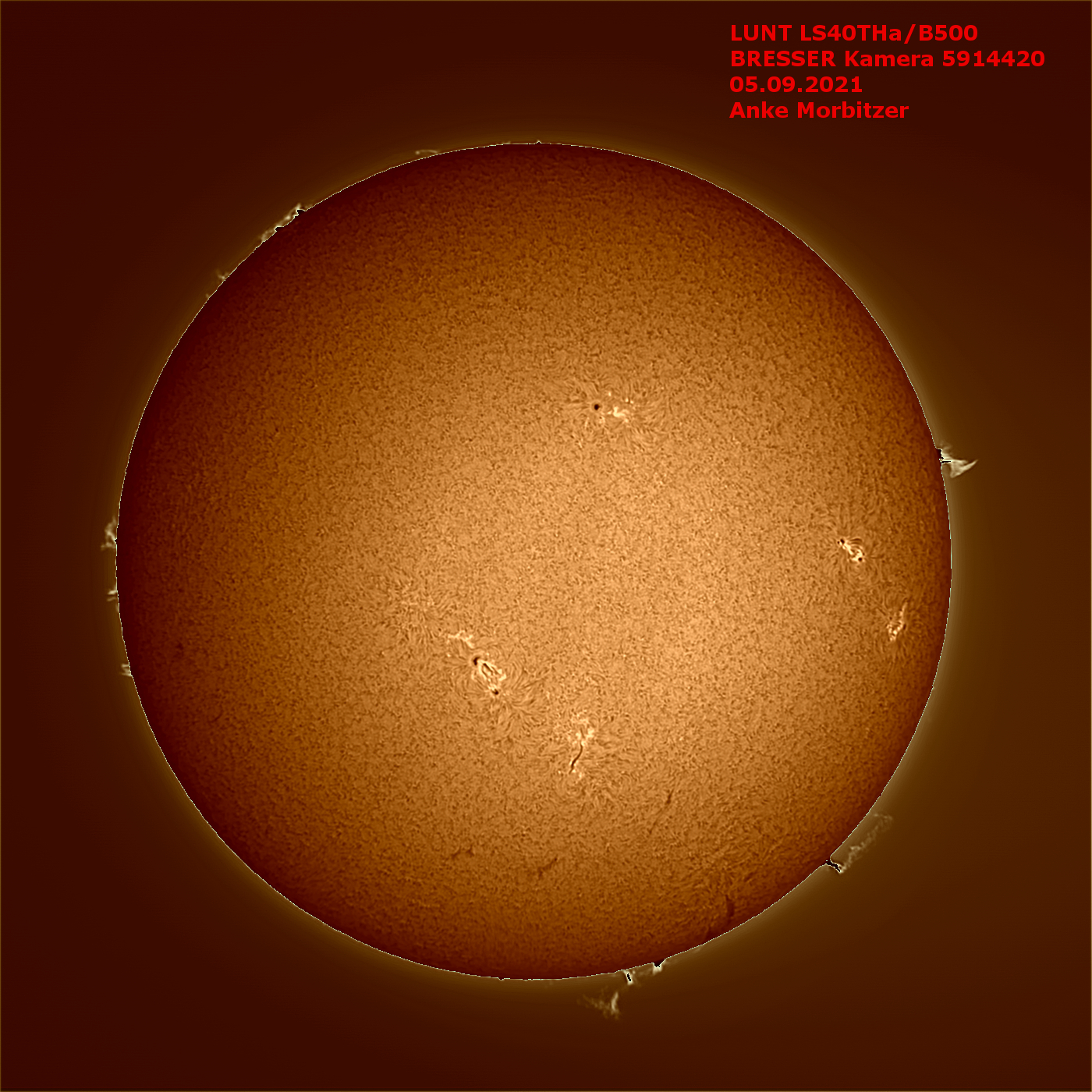 Télescope solaire H-alpha LUNT LS40THa/B500