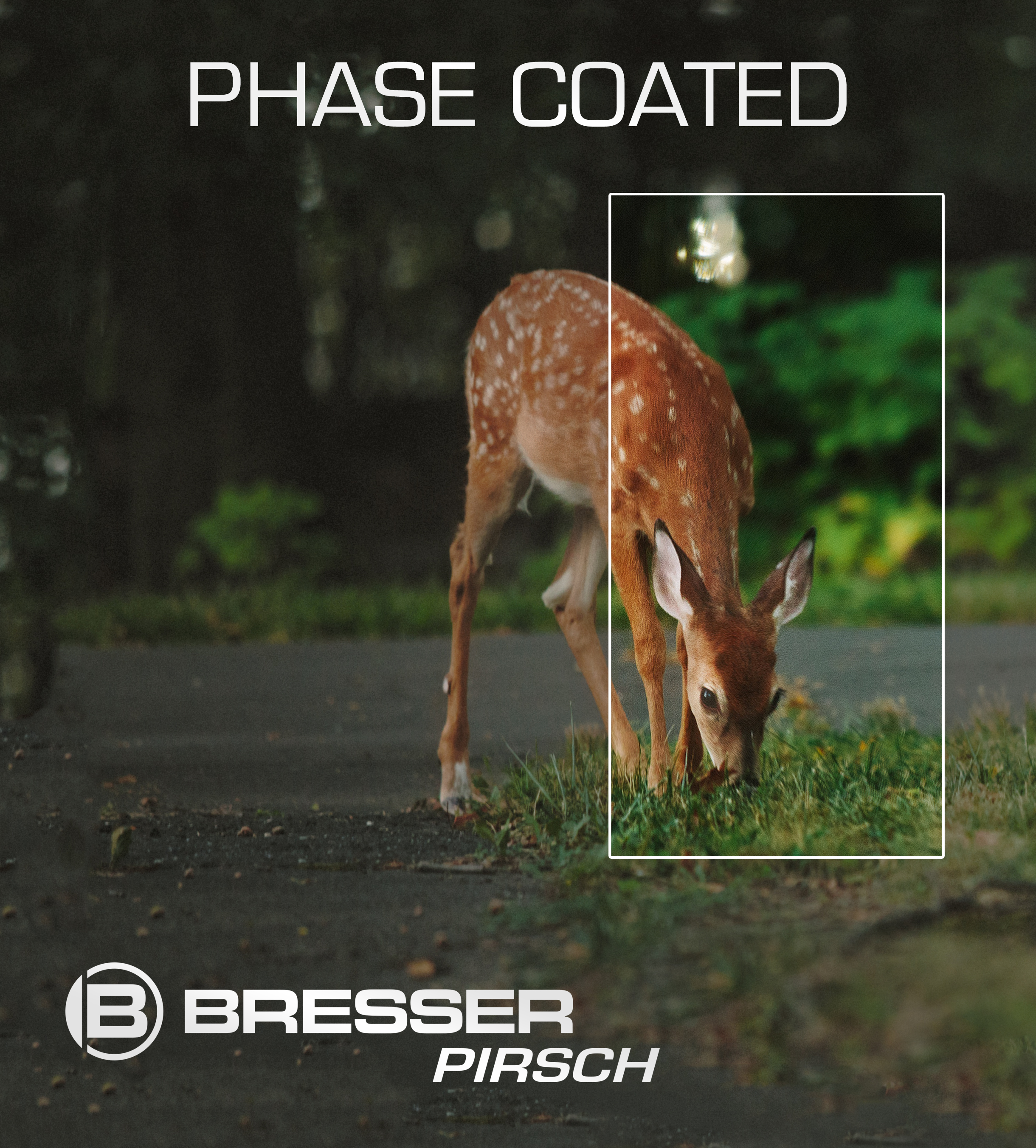 BRESSER Pirsch jumelles 8x26 Phase Coating
