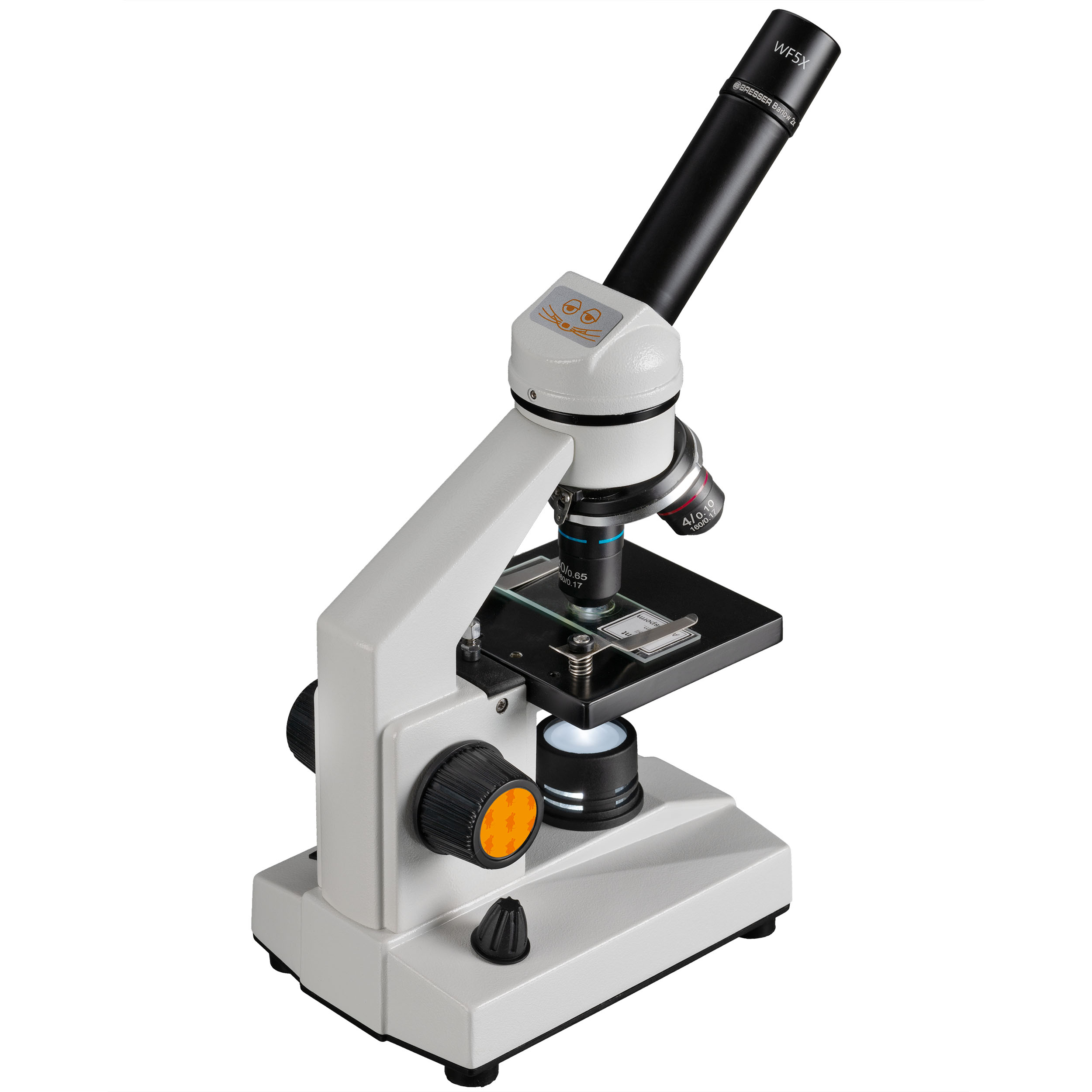 Microscope Die Maus Biolux